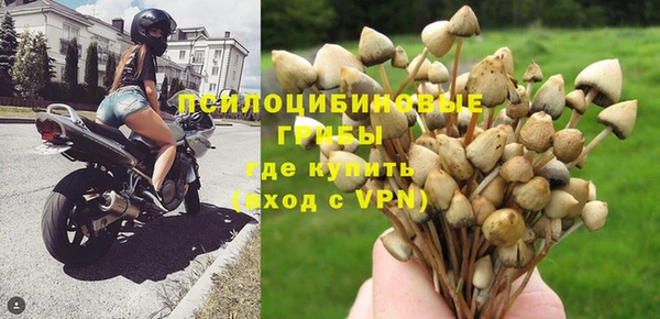 дурь Абинск