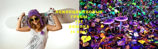 дурь Абинск