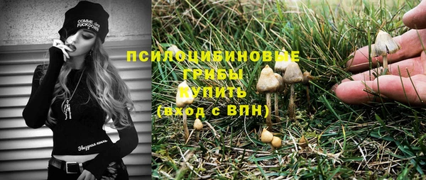 мяу мяу мука Абдулино