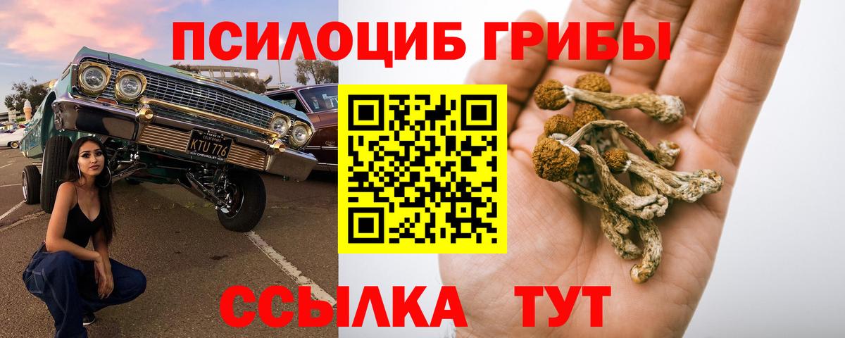 Таганрог  Галлюциногенные грибы мицелий  Галлюциногенные грибы GOLDEN TEACHER  Вход с VPN 